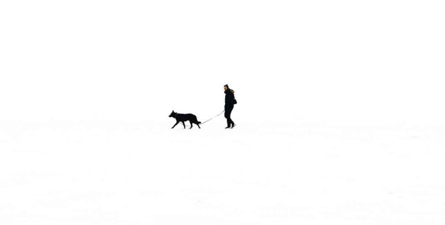 juuso-salminen-543409-unsplash